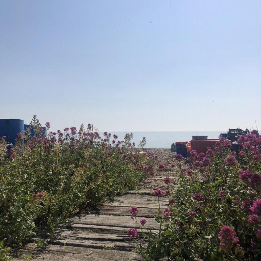 Heritage Cottage - Charming And Stylish Home With Lovely Garden Walmer Εξωτερικό φωτογραφία